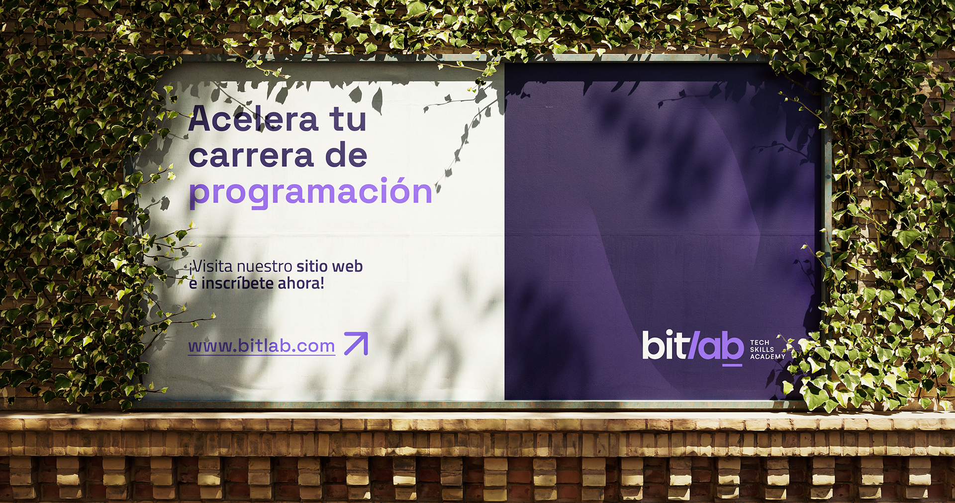 Bitlab campaign materials